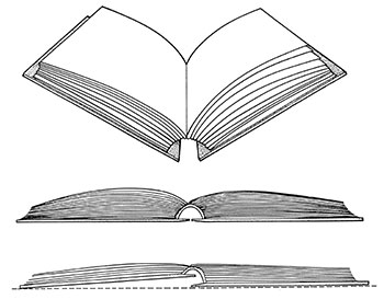 click for larger image