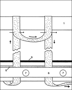 click for more detail